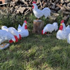 kury 3D-figury kogutów i kur w 3D- promocjepolska