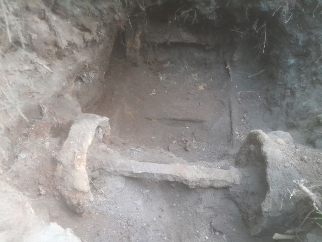 Bursztynowa Komnakta-co znaleziono w Mamerkach